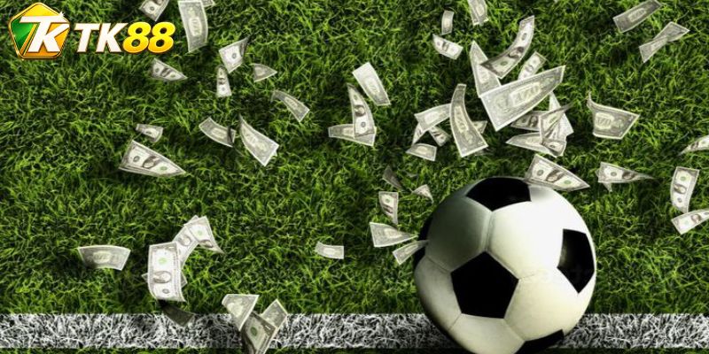 Cược Copa America – Theo Dõi Kèo Nam Mỹ Đỉnh Cao Mỗi Ngày